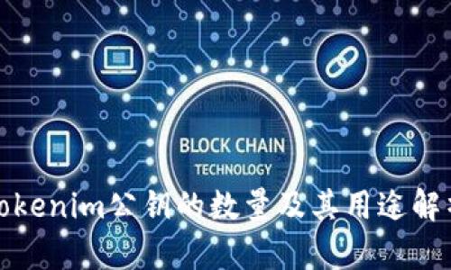 tokenim公钥的数量及其用途解析