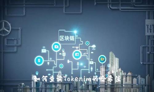 如何查询Tokenim的哈希值
