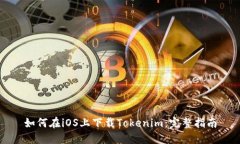 如何在iOS上下载Tokenim：完整指南