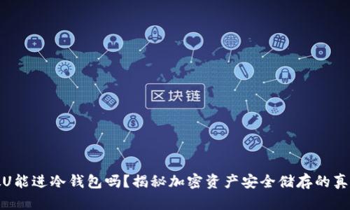 假U能进冷钱包吗？揭秘加密资产安全储存的真相
