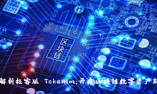 全面解析极客版 Tokenim：开启区块链数字资产新纪元