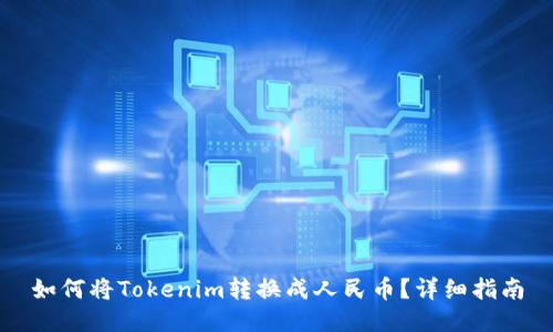 如何将Tokenim转换成人民币？详细指南