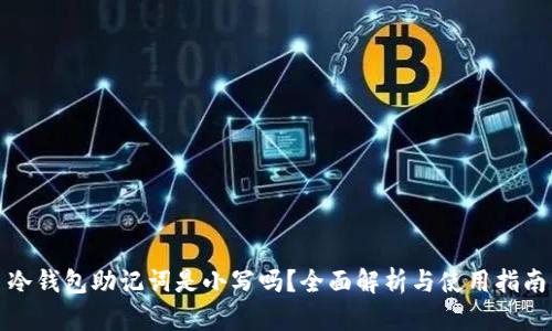 冷钱包助记词是小写吗？全面解析与使用指南