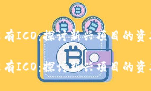 Tokenim没有ICO：探讨新兴项目的资本筹措模式

Tokenim没有ICO：探讨新兴项目的资本筹措模式