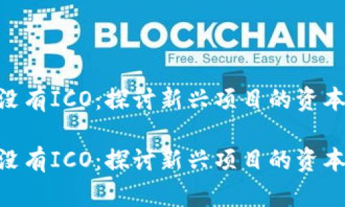 Tokenim没有ICO：探讨新兴项目的资本筹措模式

Tokenim没有ICO：探讨新兴项目的资本筹措模式