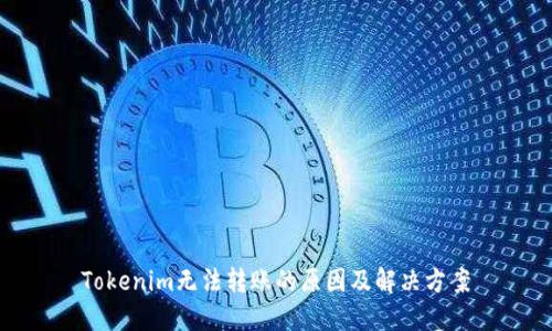 Tokenim无法转账的原因及解决方案