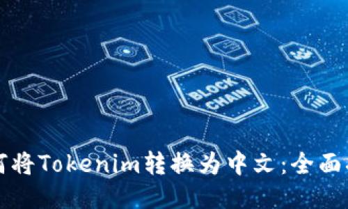 如何将Tokenim转换为中文：全面指南