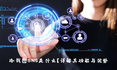 冷钱包BNS是什么？详解其功能与优势
