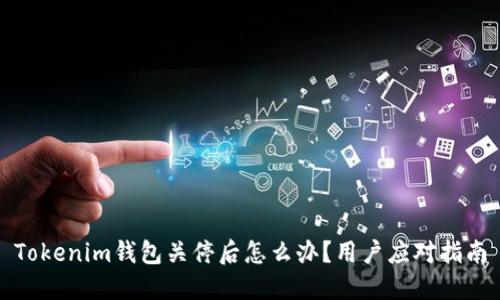 Tokenim钱包关停后怎么办？用户应对指南