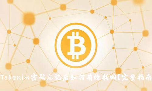 Tokenim密码忘记后如何有效找回？完整指南