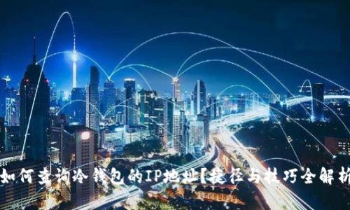 如何查询冷钱包的IP地址？捷径与技巧全解析