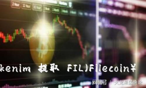 如何从 Tokenim 提取 FIL（Filecoin）— 完整指南