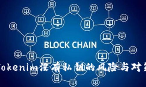 Tokenim没有私钥的风险与对策