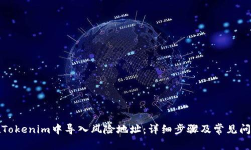 如何在Tokenim中导入风险地址：详细步骤及常见问题解答
