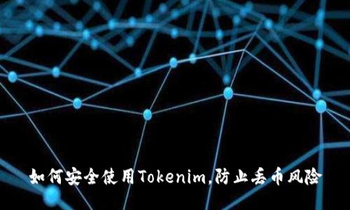 如何安全使用Tokenim，防止丢币风险