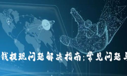 Tokenim 钱提现问题解决指南：常见问题与解决方案