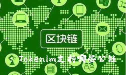 : Tokenim支持哪些公链