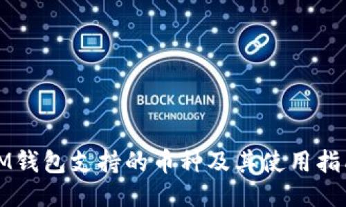IM钱包支持的币种及其使用指南