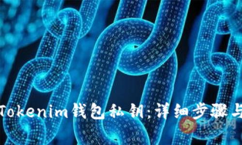 如何导入Tokenim钱包私钥：详细步骤与注意事项