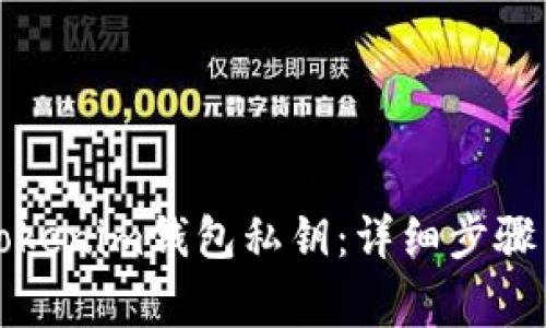 如何导入Tokenim钱包私钥：详细步骤与注意事项