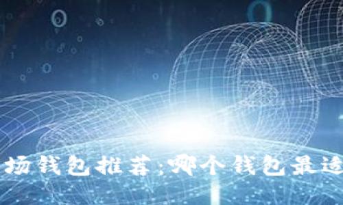 TRX波场钱包推荐：哪个钱包最适合你？