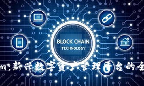 Tokenim：新兴数字资产管理平台的全景解析