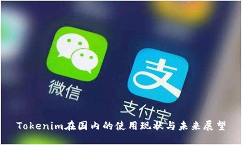Tokenim在国内的使用现状与未来展望