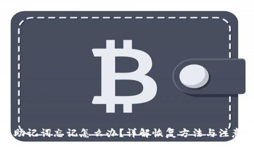 钱包助记词忘记怎么办？详解恢复方法与注意事项