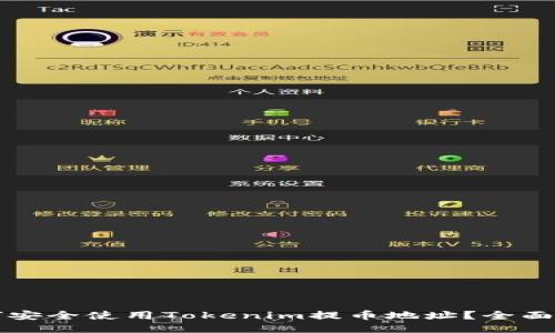 如何安全使用Tokenim提币地址？全面指南