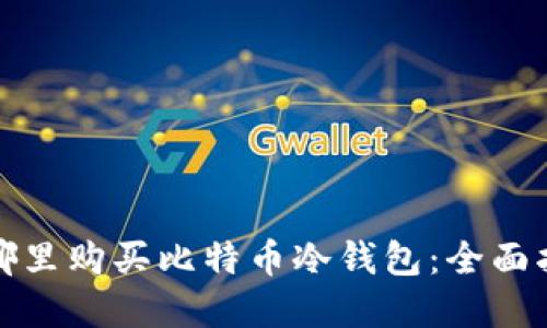 在哪里购买比特币冷钱包：全面指南