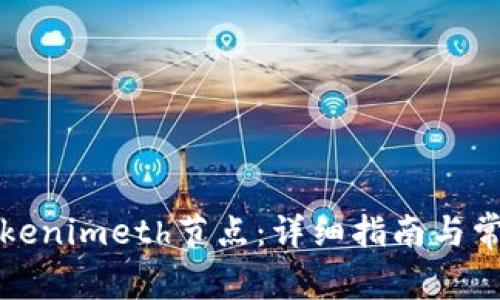 如何设置Tokenimeth节点：详细指南与常见问题解答