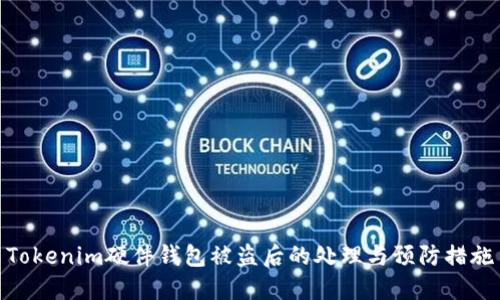 Tokenim硬件钱包被盗后的处理与预防措施