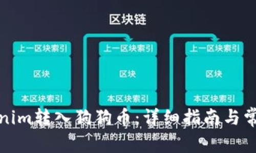 如何将Tokenim转入狗狗币：详细指南与常见问题解答