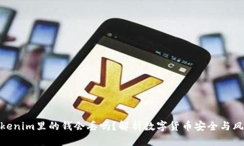 Tokenim里的钱会丢吗？解析数字货币安全与风险