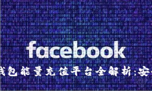 : 比特派冷钱包能量充值平台全解析：安全、便捷、实用