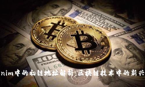 Tokenim中的初链地址解析：区块链技术中的新兴概念