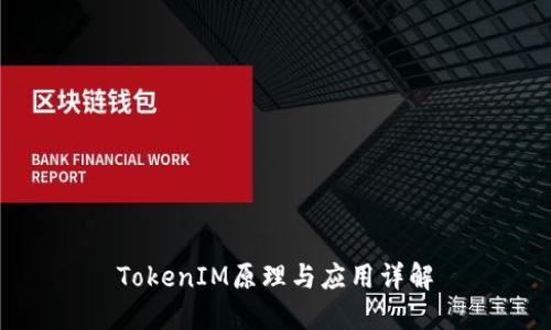 TokenIM原理与应用详解