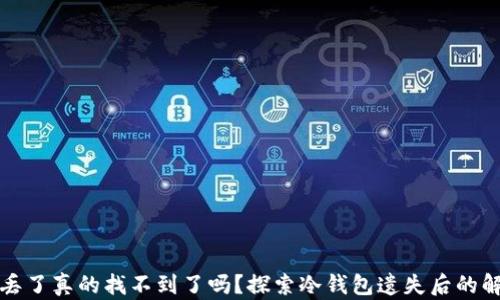 
冷钱包丢了真的找不到了吗？探索冷钱包遗失后的解决方案