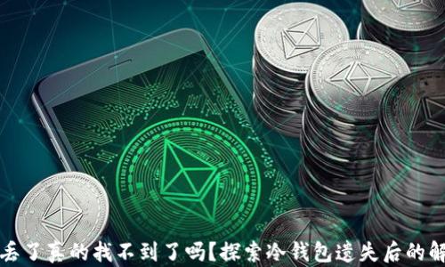 
冷钱包丢了真的找不到了吗？探索冷钱包遗失后的解决方案
