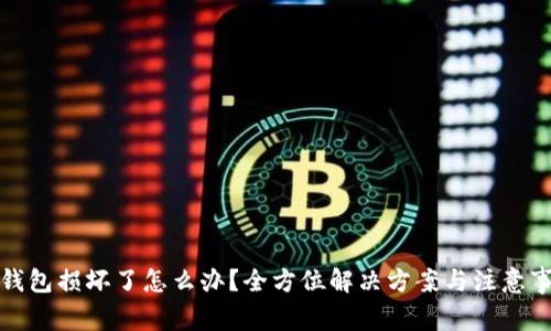 冷钱包损坏了怎么办？全方位解决方案与注意事项