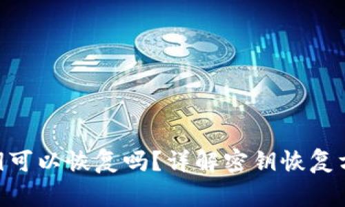 Tokenim的密钥可以恢复吗？详解密钥恢复方法与注意事项