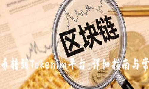 如何将币转到Tokenim平台：详细指南与常见问题