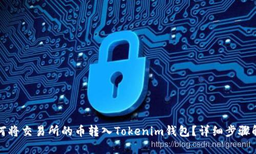 如何将交易所的币转入Tokenim钱包？详细步骤解析