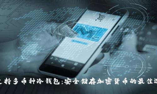 : 支持多币种冷钱包：安全储存加密货币的最佳选择