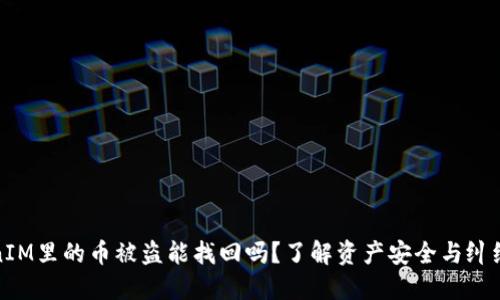 TokenIM里的币被盗能找回吗？了解资产安全与纠纷处理