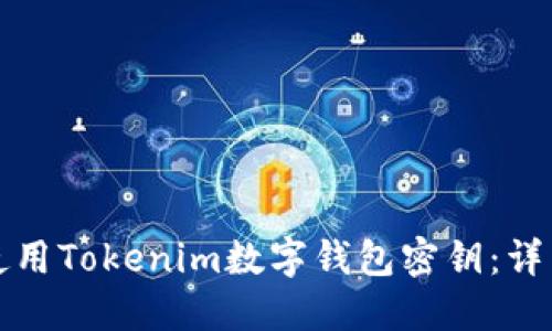 如何使用Tokenim数字钱包密钥：详细指南