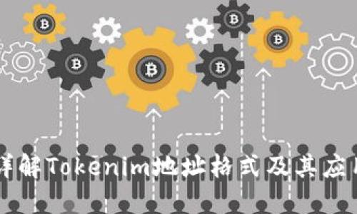 详解Tokenim地址格式及其应用