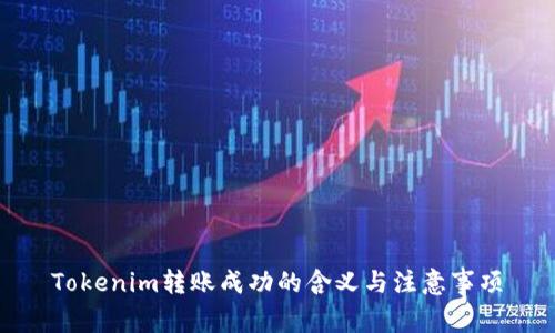 Tokenim转账成功的含义与注意事项