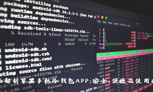 全面解析苹果手机冷钱包APP：安全、便捷及使用指南