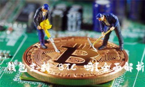 Tokenim 2.0 钱包支持 BTC 吗？全面解析其功能与特点